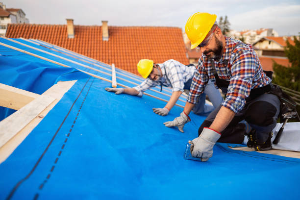 Best Solar Panel Roofing Installation  in New Deal, TX